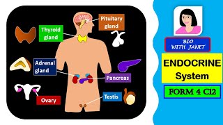 SPM BIOLOGY FORM 4 CHAPTER 12 126 ENDOCRINE SYSTEM [upl. by Barcot940]