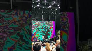 The Alive live from BottleRock [upl. by Bender]