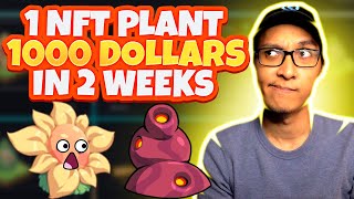 Plant VS Undead  Get Your 1st NFT Plant With Just 23 PVU Exclusive Event [upl. by Averir]