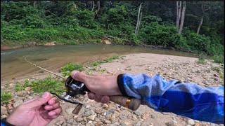 Malayan Trout Stream Fishing  Daiwa Silver Creek Air TW Stream Custom  Day 1 [upl. by Yevi]