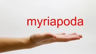 How to Pronounce myriapoda  American English [upl. by Alben350]