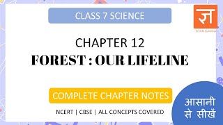 Organisms and Populations Class 12  Biology NCERT Chapter 11 Bio  CBSE NEET  One Shot [upl. by Lehcear]