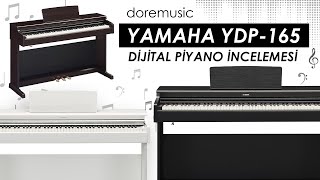 Yamaha YDP  165 Dijial Piyano İncelemesi doremusic [upl. by Ennovy709]