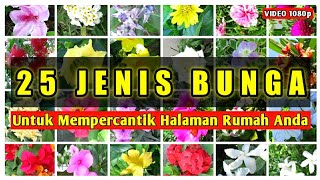 25 Jenis Bunga Untuk Mempercantik Halaman Rumah Anda [upl. by Doolittle]