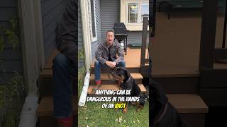 Are Rottweilers Dangerous dogtraining dogtrainer rottweiler [upl. by Ardnot]