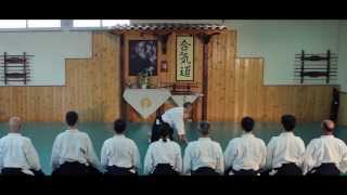 Aikido Training with Sandro Caccamo 6°Dan Aikikai school of Tokyo  2013 [upl. by Yentnuoc563]