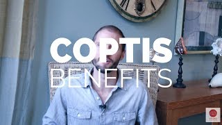 Coptis Benefits AntiViral AntiBacterial AntiInflammatory [upl. by Yhtnomit]