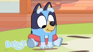 Tiempo en familia Heeler  Episodios completos  Bluey 💙 Español Canal Oficial 🇪🇸 [upl. by Sarajane250]