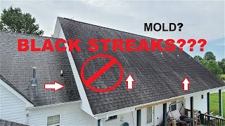 Black streaks on roof what are they and can I get rid of them [upl. by Loreen]