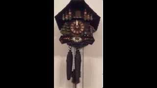 Cuckoo clock chiming [upl. by Ettelimay]