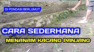 Tanam Kacang Panjang Di Pondasi Pagar Rumah [upl. by Einattirb735]