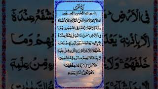 ٱللَّهُ لَآ إِلَـٰهَ إِلَّا هُوَ ٱلْحَىُّ ٱلْقَيُّومrecitationofquran recitation islam rokia [upl. by Mikeb266]