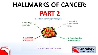 5 Hallmarks of cancer part 2 [upl. by Fillander940]