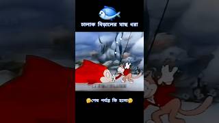 বিড়াল যখন বরশি নিয়ে মাছ ধরে cartoon [upl. by Arammat]