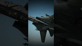 DCS F14B Tomcat  Flares dcs dcsworld dcsworldgameplay aviation military fighterf14 [upl. by Lyred]