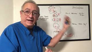 Signos neurológicos del Sind neurona motora superior e inferior Signos de focalizacion [upl. by Goldina]