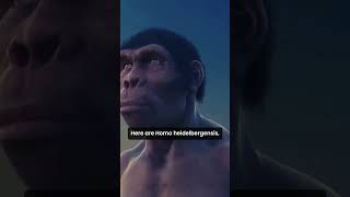 Human Evolution in 60 Secondsquot evolution shorts facts trending human history science gk [upl. by Buckingham555]