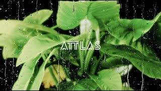 ATTLAS  Out Here Together Mix [upl. by Nesnah]