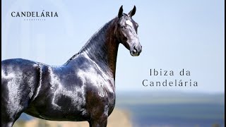 Ibiza da Candelária [upl. by Kernan]