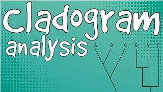 Cladogram AnalysisCSIR UGC NET group C [upl. by Aseeral515]