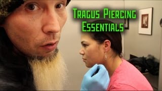 Tragus Piercing Essentials THE MODIFIED WORLD [upl. by Devlin]