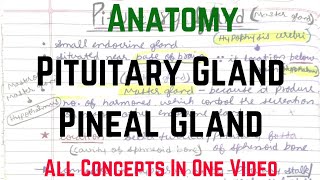 Pituitary Gland amp Pineal Gland  Endocrine Gland  Anatomy Rachana Sharir  Being Doctor 😈 [upl. by Einahpet58]