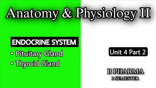 PITUITARY GLAND  THYROID GLAND ANATOMY amp PHYSIOLOGY  ENDOCRINE SYSTEM  U4 P2  HAP2  B PHARMA [upl. by Diena424]