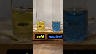 Acid with heavy hydrogen chemistryteacher chemistry shorts chemicalreaction [upl. by Savdeep]