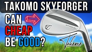 Takomo Wedges Are SOO Cheap BUT Are they GOOD [upl. by Ilysa69]