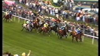 1988 Ever Ready Derby Stakes [upl. by Lleryt]