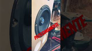 Speakers ciare Diy speaker diy faidate woodworking woofer subwoofer [upl. by Nivlen]