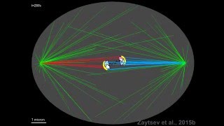 Molecular Biophysics of Mitosis Mathematical model of sister kinetochores biorientation [upl. by Anastassia]