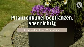 Pflanzkübel bepflanzen  Richtig befüllen mit Drainage oder Pflanzeinsatz [upl. by Ledeen]