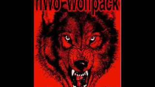 nwo wolfpac theme [upl. by Razatlab184]