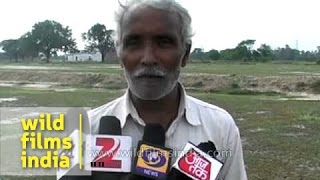 Unseasonal rain hailstorm lash state damage standing crops  India [upl. by Longawa]