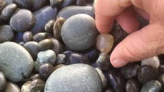 Hunting For Fews Agates At Birdling Flat [upl. by Dachia]