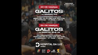 Proliga  Clube dos Galitos vs Imortal Sub23 AOC [upl. by Dnalyram]