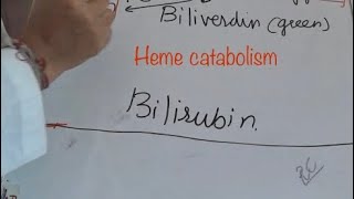 Biochemistry heme breakdownbiochemistry cyclesmetabolism of hemoglobin [upl. by Lan]