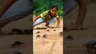 The girl found a lot of crabs 🦀🦀 camping survival outdoors lifehack [upl. by Gader]