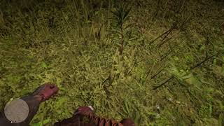 Red Dead Redemption 2  Neat Plant [upl. by Eastlake]