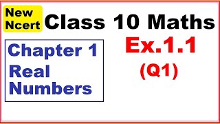 Class 10 Maths  Ex11 Q1  Chapter 1  Real Numbers  New NCERT [upl. by Leba]