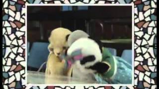 The Sooty Show 1990 Opening Theme [upl. by Camille747]