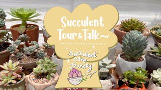 Vlog 116  052224 Succulent Tour amp Update [upl. by Durwood]