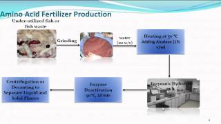 Industrial scale production of amino acid fertilizer from fish waste and under utilized fish [upl. by Nial]