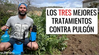 Los TRES MEJORES INSECTICIDAS CONTRA PULGONES ecológicos baratos y fáciles de usar  en20metros [upl. by Blum]