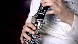 Pirates Of Caribean Theme On Clarinet [upl. by Enelcaj]