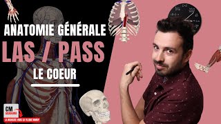 ANATOMIE GENERALE 🦴  Le cœur atrium ventricule valves nœud sinusal systolediastole [upl. by Sidonnie]