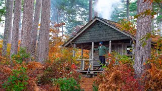 Peaceful OffGrid Cabin Hidden in the Pines [upl. by Hueston]