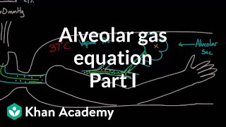 Alveolar gas equation  part 1  Respiratory system physiology  NCLEXRN  Khan Academy [upl. by Aciemaj]