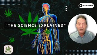 Endocannabinoid System  ECS Explained [upl. by Charteris]